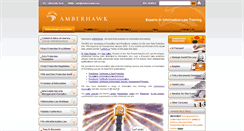 Desktop Screenshot of amberhawk.com